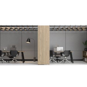 Axel Pavillon